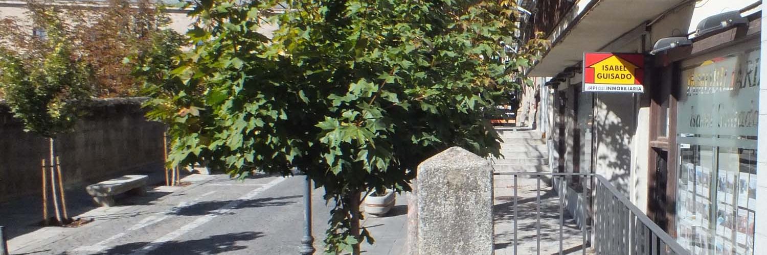  inmobiliaria san lorenzo de el escorial